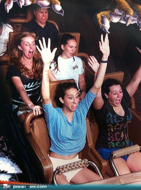 12 Photos That Perfectly Capture People S Reactions On Roller Coasters 2 Funny Gag